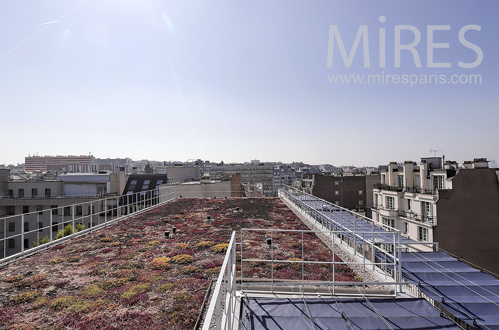 C2114 – Rooftop