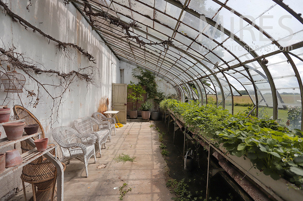 Old greenhouse. C2126