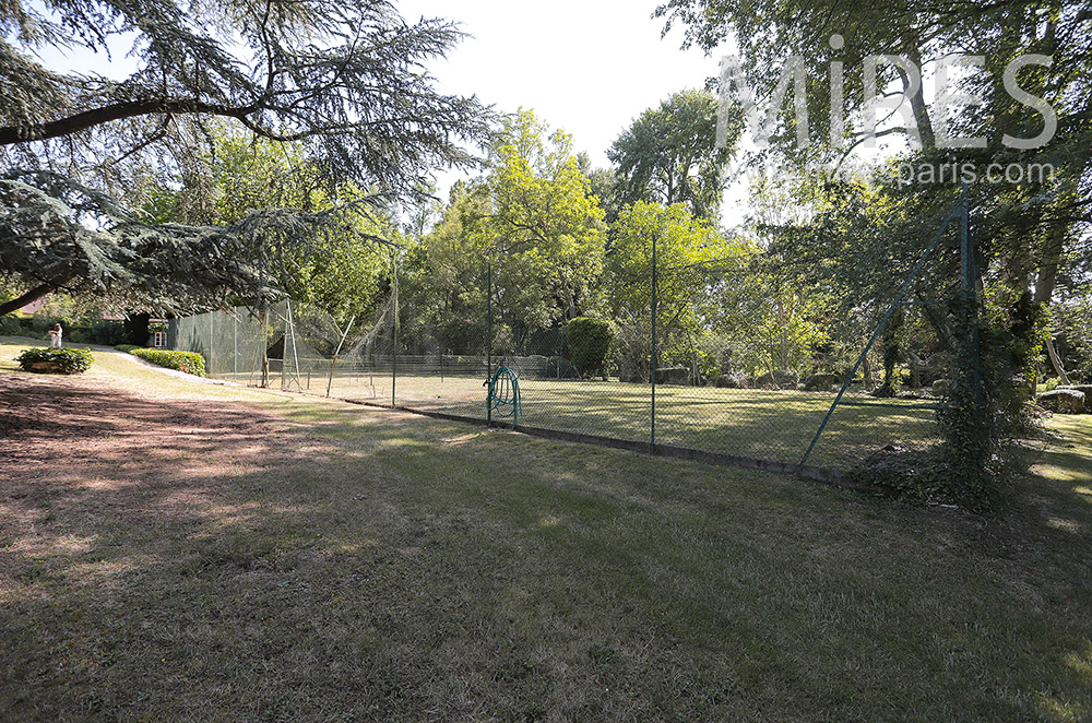 C2136 – Tennis entouré d’arbres