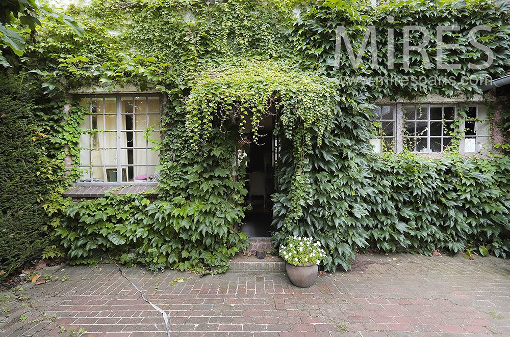 C2149 – Entrée plantes grimpantes