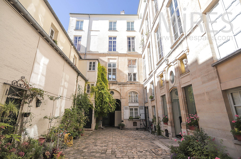 C2162 – Paved courtyard, green plants