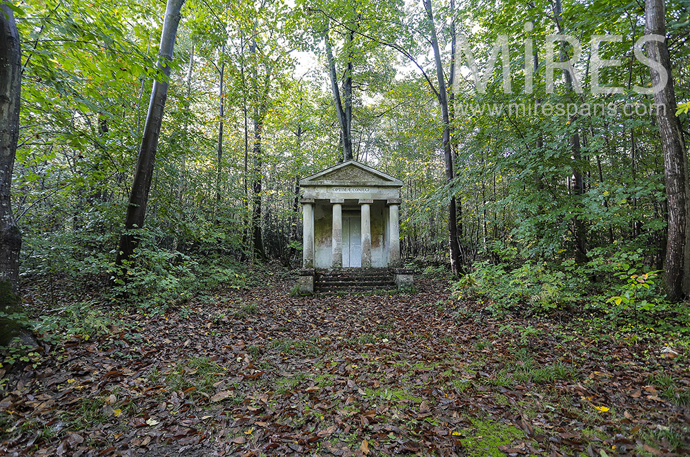 C2164 – Sous-bois du château