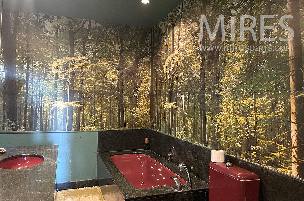 C2169 – Bain marbre, décor forêt