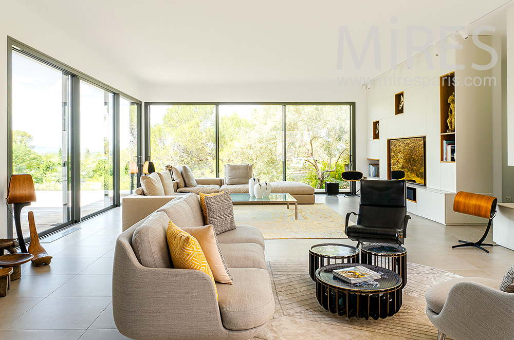 C2196 – Contemporary glass living room
