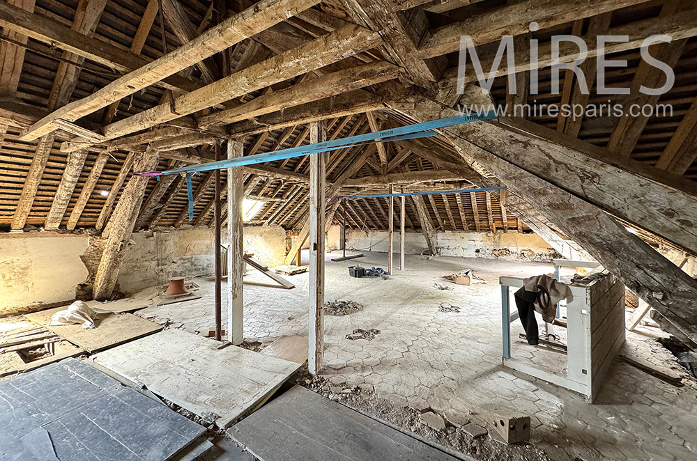 C2221 – Attic