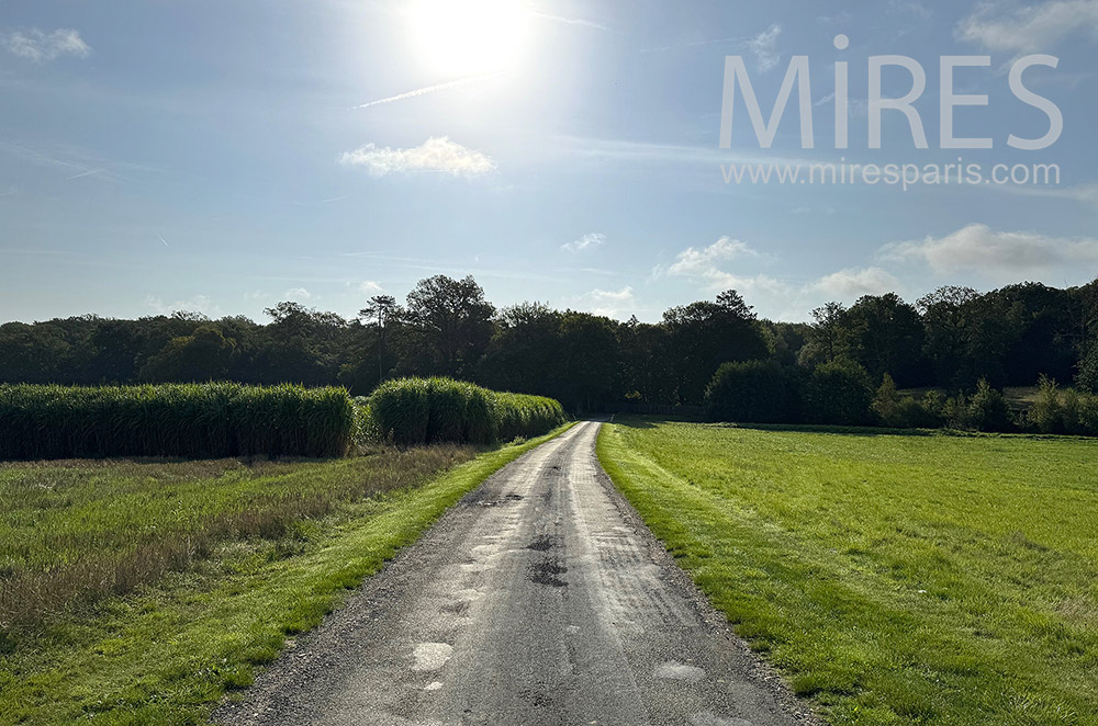 C0355 – Roads