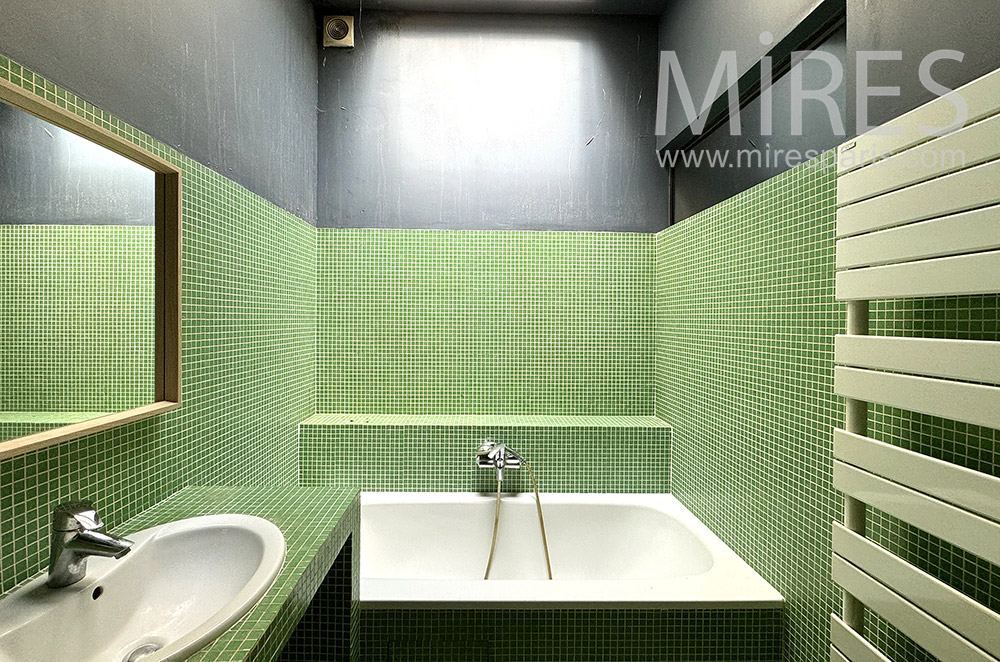 C2291 – Bathroom