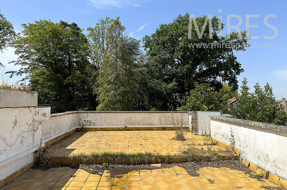 C2330 – Rooftop