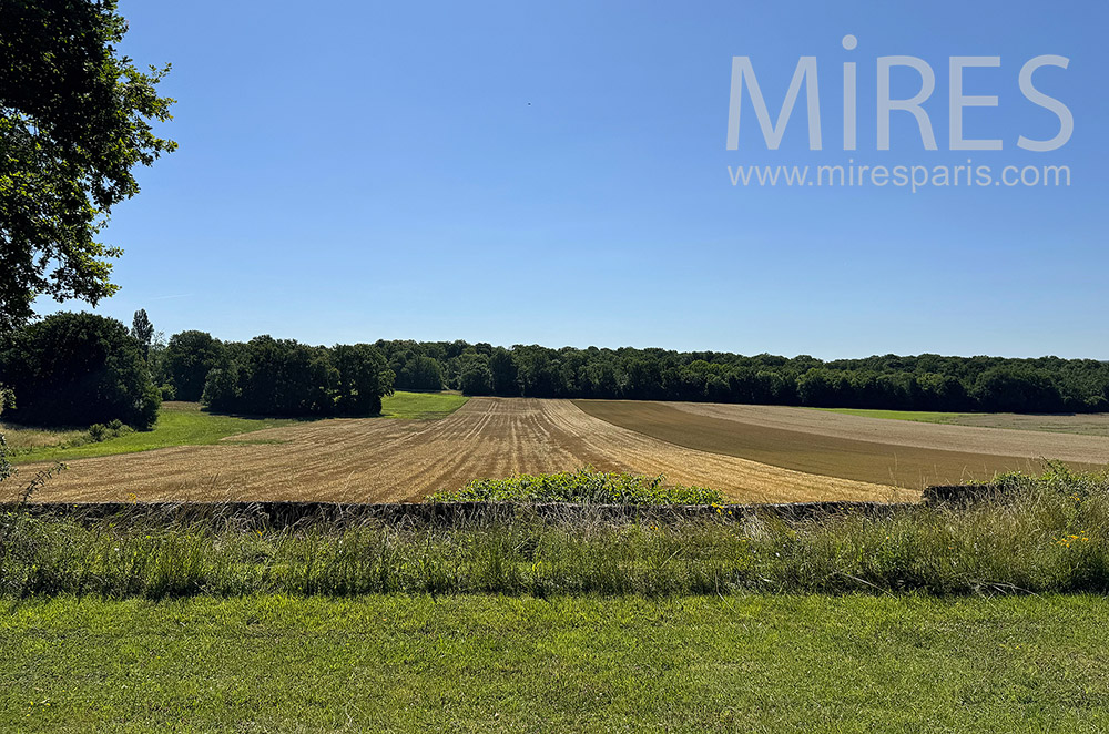 C2335 – Fields