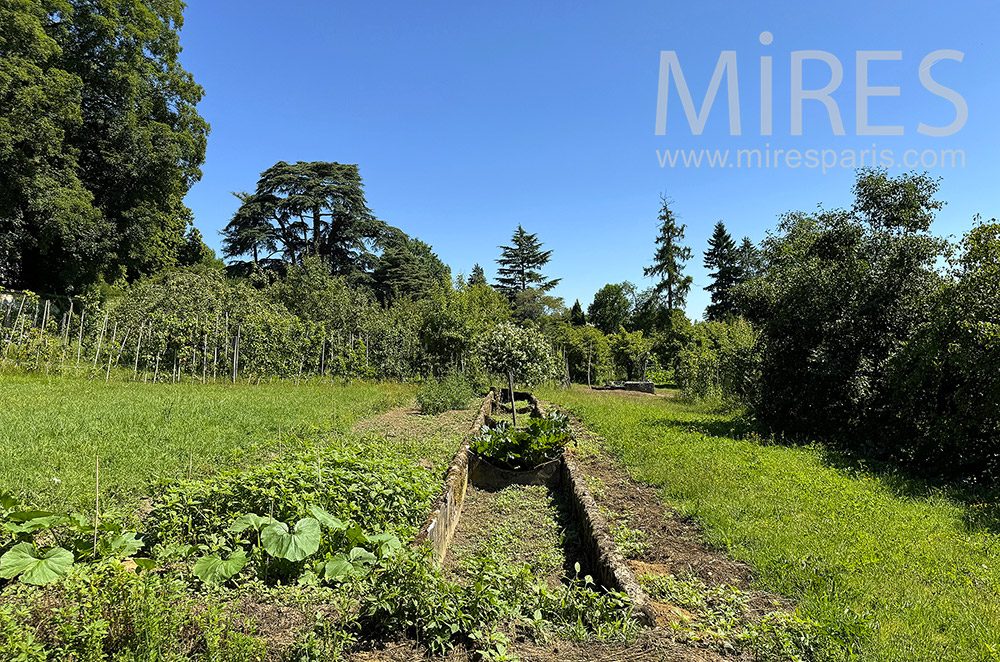 C2335 – Potager