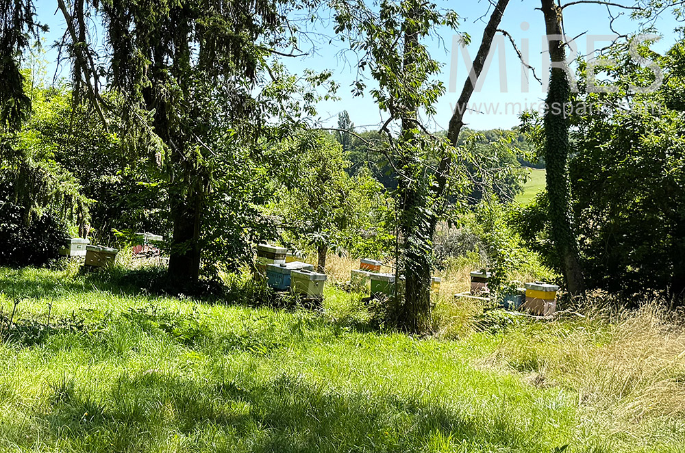 C2335 – Ruches
