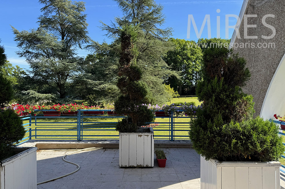 C2346 – Terrasse 2